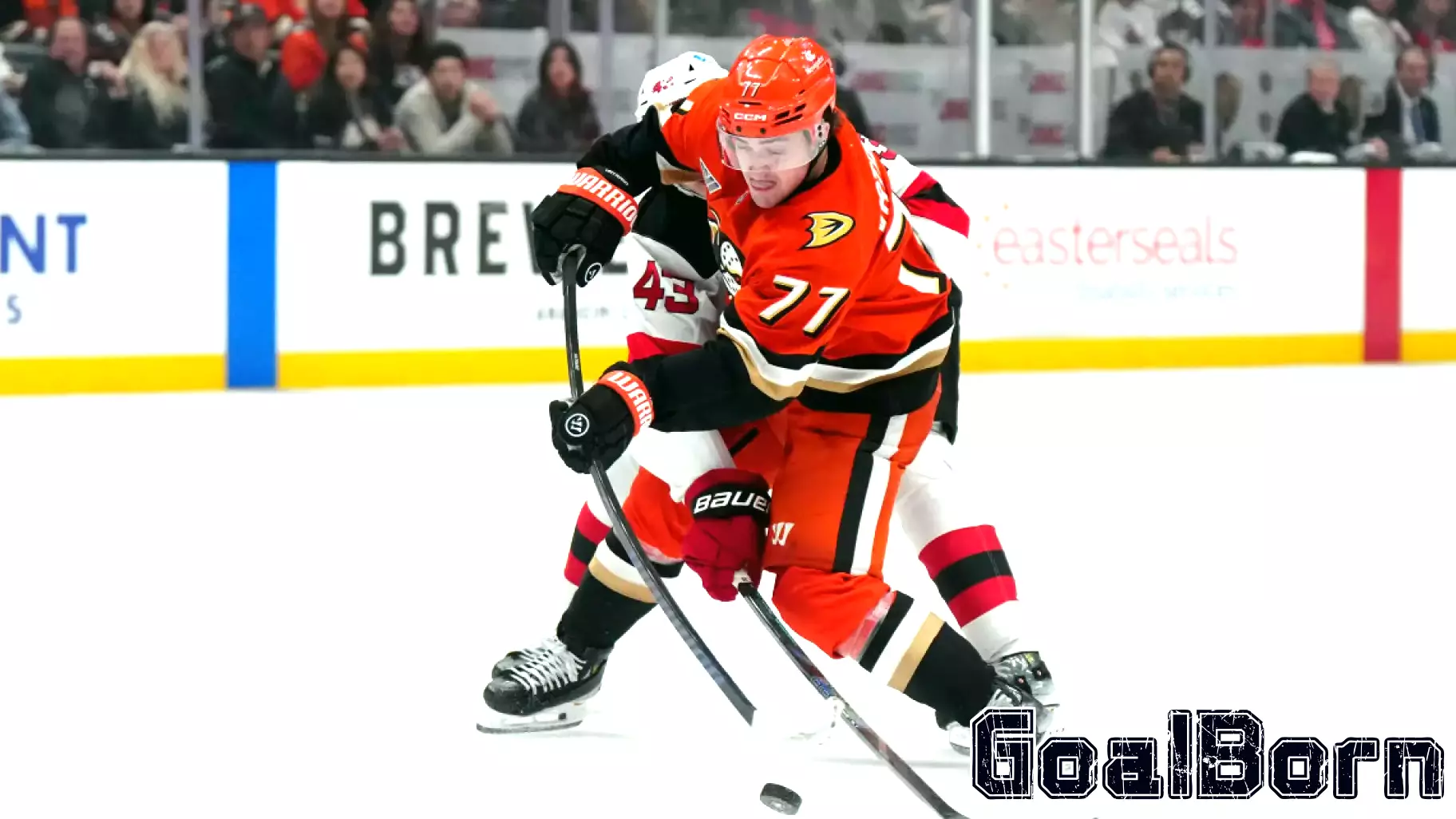 Insights from the Recent Matchup Between the Devils and Ducks